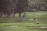 Golf 2013_56
