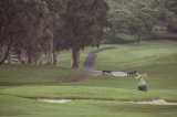 golf_2013_56_20131101_1689493434